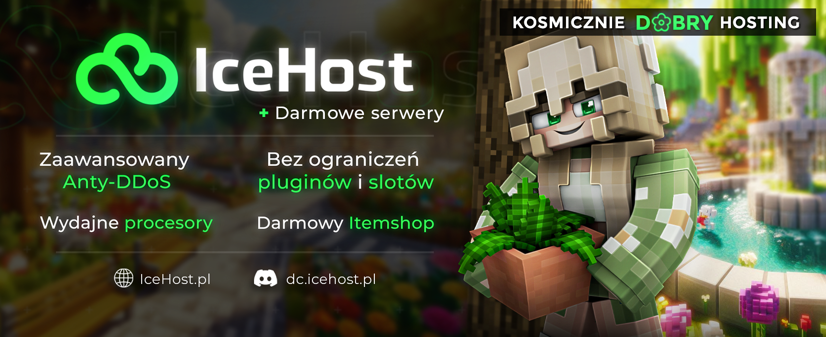 Baner Discord 2